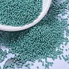 MIYUKI Round Rocailles Beads SEED-G007-RR0435-1
