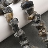 Natural Labradorite Beads Strands G-I283-F14-1
