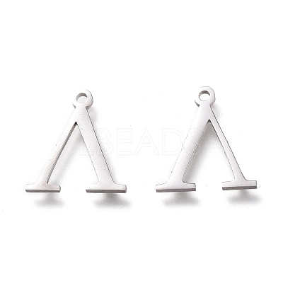 Non-Tarnish 304 Stainless Steel Charms STAS-L263-10P-1