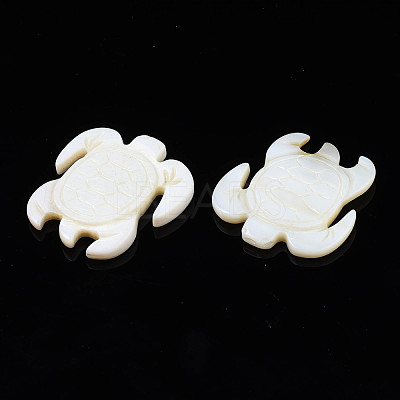 Natural Freshwater Shell Cabochons SHEL-S276-163-1
