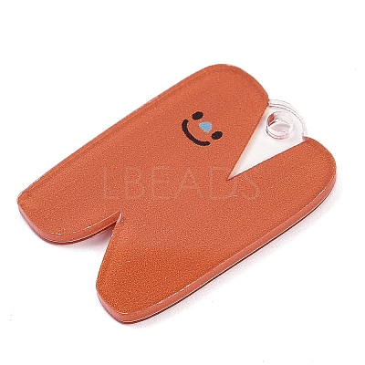 Acrylic Pendants LS-MACR-R002-01N-1