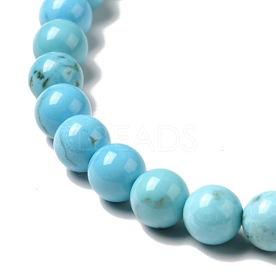 Dyed & Heated Natural Magnesite Beads Strands G-G924-01B-03-1