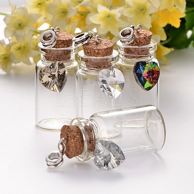 Antique Silver Plated Alloy Glass Bottle European Dangle Charms PALLOY-JF00084-1