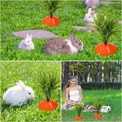 Home Garden Decorations AJEW-FH0008-69-1