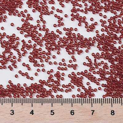 MIYUKI Round Rocailles Beads X-SEED-G009-RR2410-1