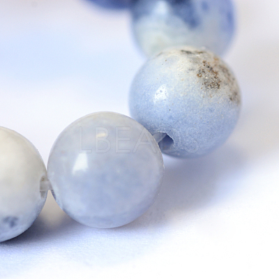 Natural Sodalite Round Bead Strands X-G-E334-6mm-08-1