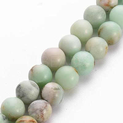 Natural Chrysoprase Beads Strands X-G-S333-6mm-037-1