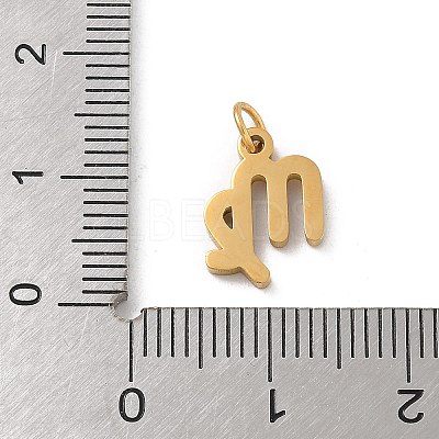 304 Stainless Steel Charms STAS-R001-04G-06-1