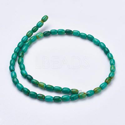 Natural Magnesite Beads Strands TURQ-K003-01B-1
