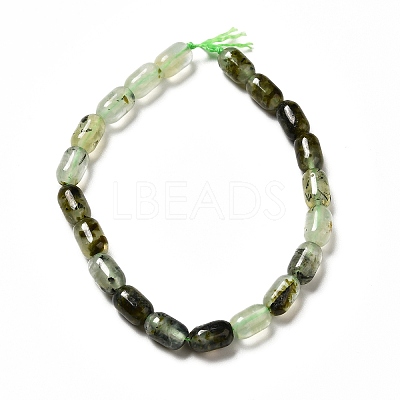 Natural Prehnite Beads Strands G-G980-24-1