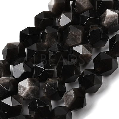 Natural Silver Obsidian Beads Strands G-Z119-A11-03-1