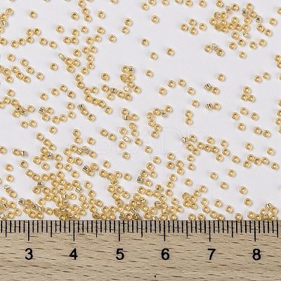 MIYUKI Round Rocailles Beads X-SEED-G009-RR0552-1