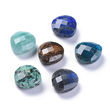 Natural Mixed Stone Charms G-L547-044-1