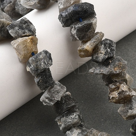 Natural Labradorite Beads Strands G-I283-F14-1