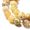 Natural Yellow Opal Beads Strands G-G992-A02-C-3