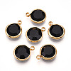K9 Glass Charms X1-GLAA-T023-37A-01-1