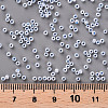11/0 FGB Grade A Ceylon Glass Seed Beads X-SEED-N001-B-0486-3