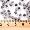 Glass Seed Beads SEED-A032-01P-4