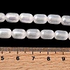 Natural Selenite Beads Strands G-F750-B-20-3