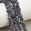 Natural Cordierite/Iolite/Dichroite Beads Strands GG-CBA9A7F-A02-1