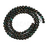 Assembled Natural Malachite & Bronzite Beads Strands G-A230-D02-01-3