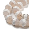 Tibetan Style dZi Beads Strands G-P526-D06-02-4