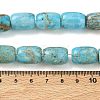 Natural Magnesite Beads Strands GG-CBA6BAC-E06-3