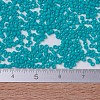 MIYUKI Delica Beads X-SEED-J020-DB0793-4