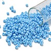 TOHO 6/0 Round Beads SEED-TR06-0403F-1
