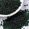 MIYUKI Round Rocailles Beads SEED-JP0009-RR0156F-1
