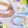 6 Strands 6 Styles Glass Beads Strands EGLA-TADJ0001-05A-6