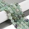 Natural Fluorite Beads Strands X-G-P530-B04-03-2