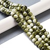 Baking Paint Glass Bead Strands GLAA-H031-01C-14-2