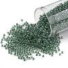 TOHO 11/0 Round Beads X-SEED-TR11-1070-1