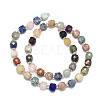 Natural Mixed Gemstone Beads Strand G-I376-D68-01-2