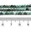 Natural Chrysocolla Beads Strands G-P514-A03-02-A-2