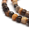 Natural Petrified Wood Beads Strands G-F465-20B-3