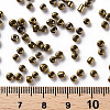 8/0 Glass Seed Beads X1-SEED-A009-3mm-601-3