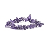 Natural Amethyst Chips Beaded Jewelry Set X-SJEW-JS01232-03-4