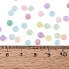 FGB Frosted Transparent Glass Seed Beads SEED-N013-04A-4