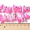 Dyed Natural Trochus Shell Beads Strands SSHEL-C013-09E-4