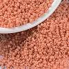 MIYUKI Round Rocailles Beads X-SEED-G009-RR4462-1