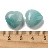 Natural Amazonite Beads G-P531-A01-01-3