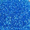 Transparent Colours Glass Seed Beads X1-SEED-P006-02A-08-3