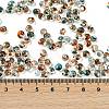 6/0 Spray Paint Fringe Glass Seed Beads X1-SEED-H003-11G-4