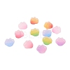 Gradient Style Resin Cabochons CRES-CJ0001-18-5