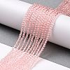 Transparent Glass Beads Strands GLAA-H021-03-07-3