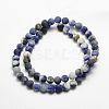 Natural Sodalite Beads Strands G-J364-01-4mm-2