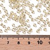 8/0 Glass Seed Beads SEED-A006-3mm-102-3