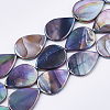 AB Color Freshwater Shell Beads Strands SHEL-S274-38A-1